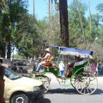 'Caleche' horse and Carriage Rides in Marrakech